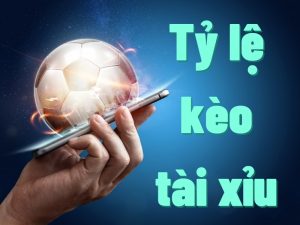 Tỷ lệ kèo tài xỉu liên quan đến sự đoán tổng bàn thắng trong 1 trận đấu